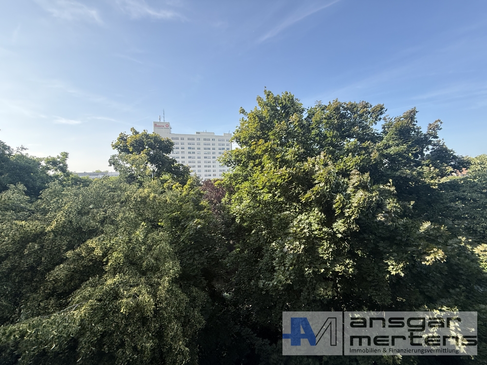 Blick aus dem Esszimmer