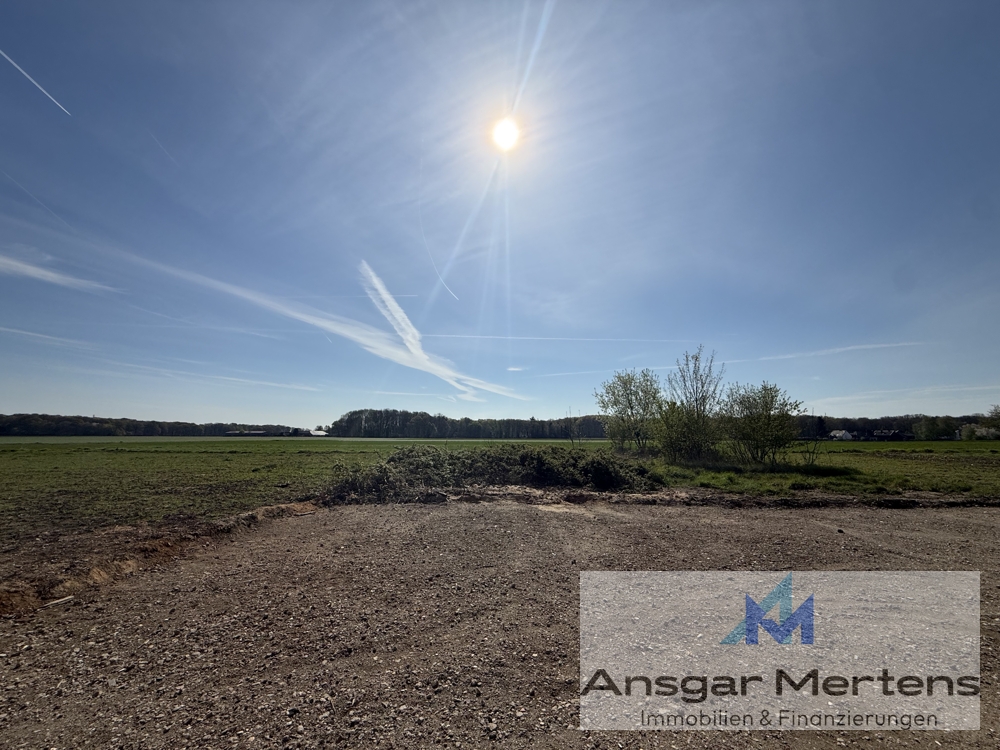 Blick Richtung Feld & Wald