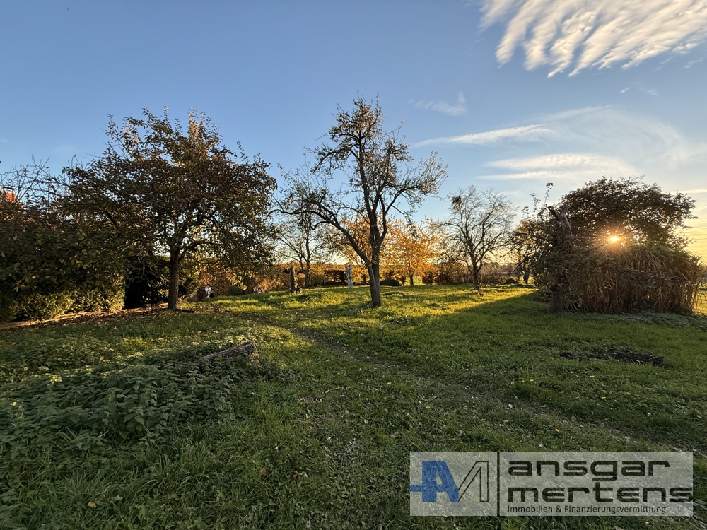 Obstwiese für die Allgemeinheit