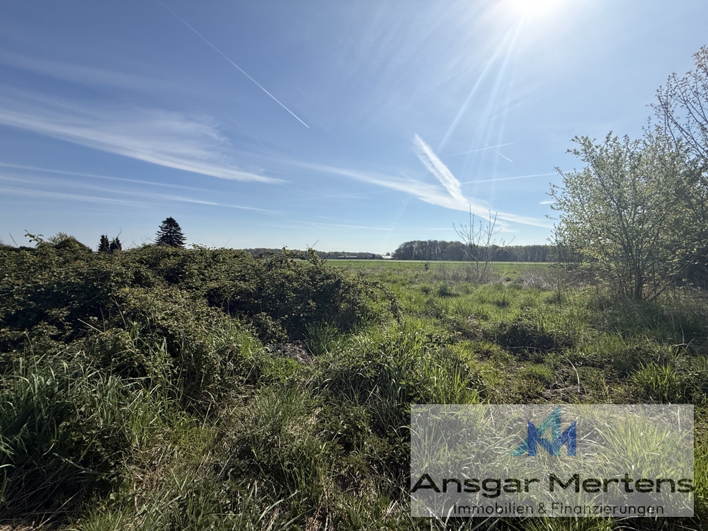Blick Richtung Feld & Wald
